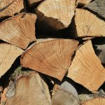 Seasoned Softwood Logs